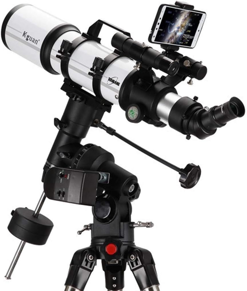 ビンテージ家具 木製青貝螺鈿細工 福禄寿全百宝嵌観音扉黒漆小棚 WWWT090